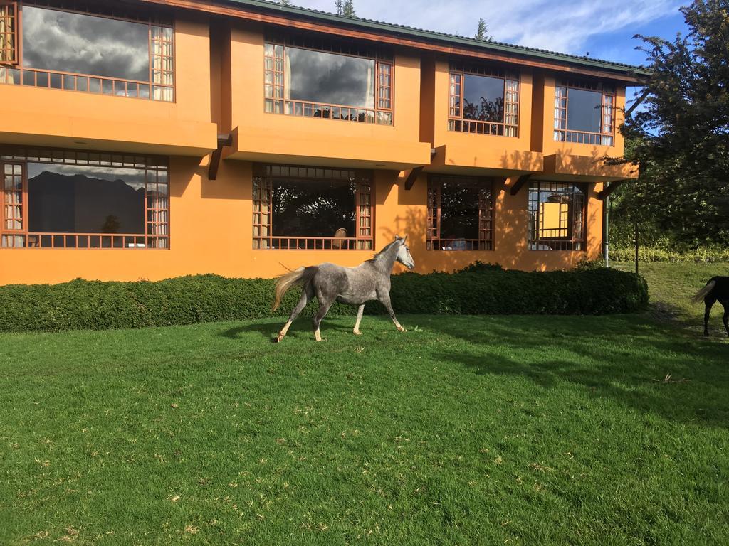 Hotel Hacienda La Alegría Zewnętrze zdjęcie