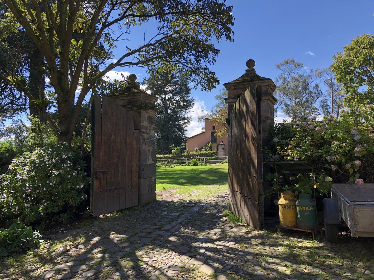 Hotel Hacienda La Alegría Zewnętrze zdjęcie